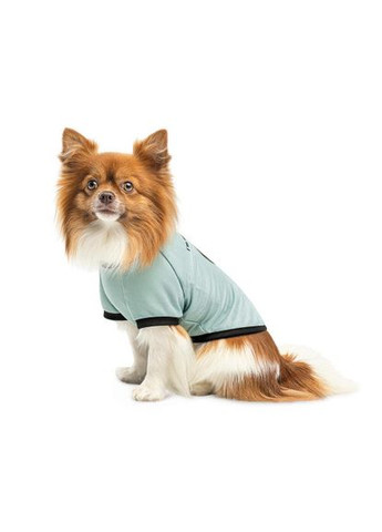 Футболка Oscar для собак бавовна трикотаж рібана блакитна (*) Pet Fashion (323219674)