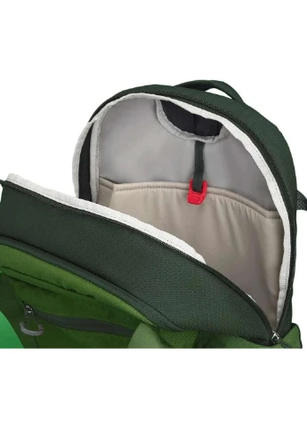 Рюкзак Daylite Plus Green belt/green canopy Osprey (365715797)