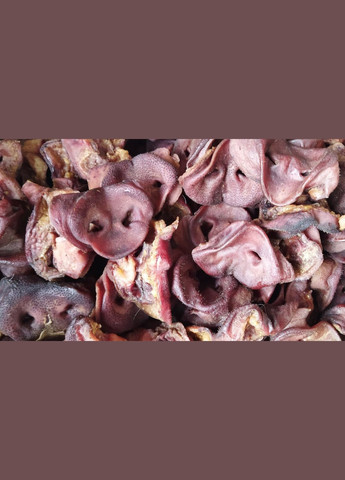 Сушені Свинячі п'яточки для кішок та собак ТМ ProfiFoods. Вес 1000 грамів. Profi Foods (355380947)