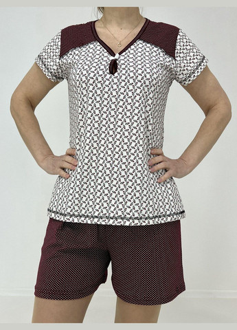 Бордовая всесезон домашний женский комплект зоя (футболка + шорты) 58-60 бордо-беж 42030055-3 Triko