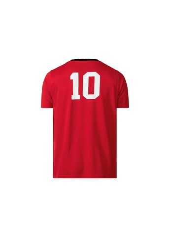 Красная спортивная футболка с быстросохнущей ткани для мужчины 411979 Crivit