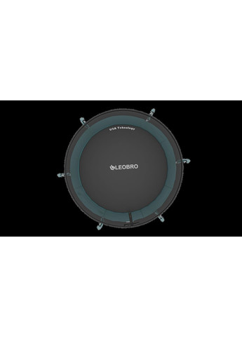 Батут с внутренней защитной сеткой 252 см Premium Pro 8FT GREEN LEOBRO (316152550)