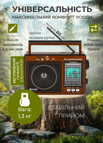 Портативный радиоприемник AM/FM/SW1-SW9 и MP3 работа от сети и аккумулятора с USB, SD, MICRO SD Україна (362272060)