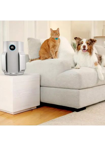 Воздухоочиститель NeverChange 5 HP150EU Shark (323101781)