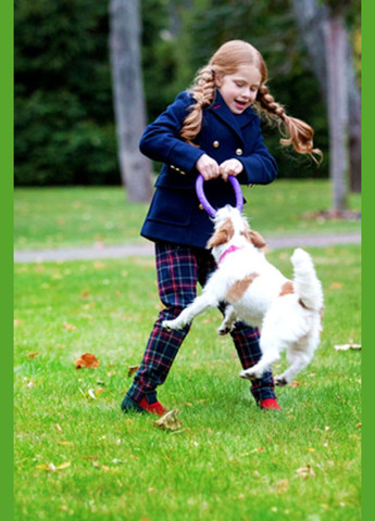 Іграшка Collar (333940699)