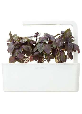 Сменный картридж Красный базилик 7427 Click and Grow (316621147)