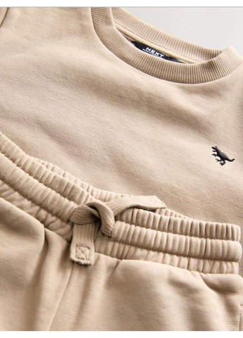 Комбинированный демисезонный комплект на флисе stone/dino Next Trend 5917~01