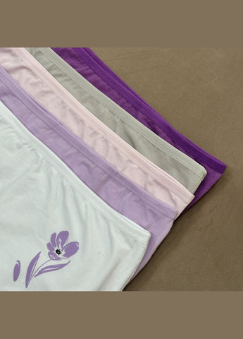 Труси жіночі бавовняні 138-144 см 110295 (5 шт/уп) Nicoletta (344589522)