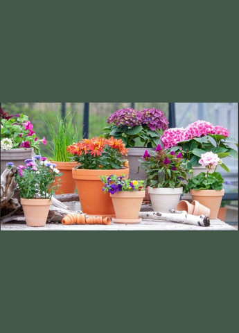 Горшок классический б/п 16*14*1,4 котто, керамика Spang (345726275)