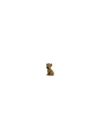 3D пазл Yorkshire terrier (CARTYORK) Cartonic (369939595)