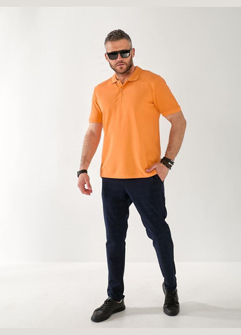 Чоловічі футболки з поло Fashion (337469005)