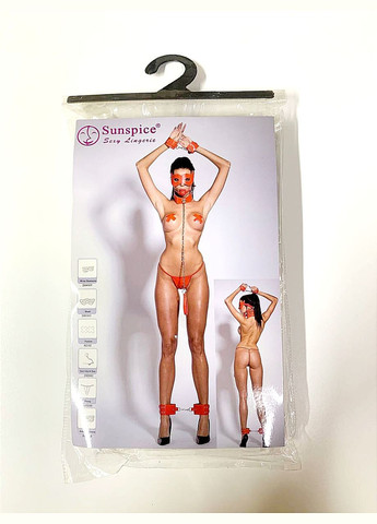 Комплект 6 предметів (наручники+маска+пестиси+нашийник з кляпом+труси+поножи) Sunspice (298050314)