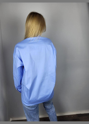 Блакитна демісезонна сорочка жіноча базова блакитна mkad3211-99 Modna KAZKA
