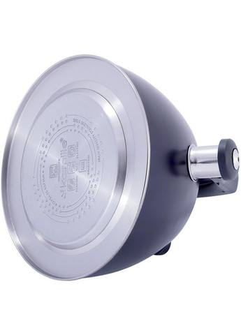 Чайник Whistling Kettle Thermo 3л з нержавіючої сталі зі свистком і термометром, чорний Kamille (329898082)