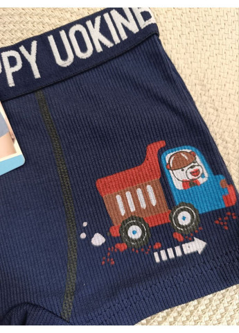 Трусики детские на мальчика, с рисунком, UOKIN (366038789)