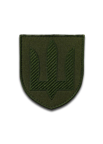 Шеврон Сухопутные войска олива (Форма щит. На липучке) Размер 8x7см No Brand (369924794)