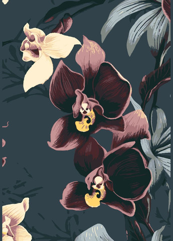 Комплект картин по номерам Таинственные орхидеи (ITR-056) 4 шт. Riviera Blanca (303135403)