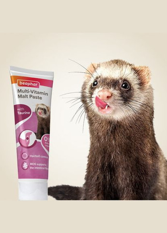 Мальт паста Duo Malt Paste с двойным действием для хорьков 100 г (8711231102808) Beaphar (318100780)