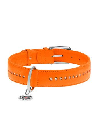 Нашийник для собак шкіряний Glamour подвійний зі стразами Ш 35 мм Д 46-60 см Жовтогарячий WAUDOG (332881008)