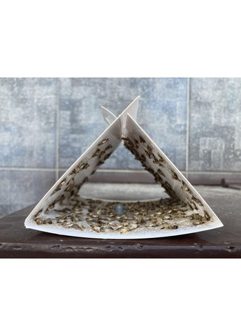 Феромнная ловушка для пищевой моли No Brand (372512139)