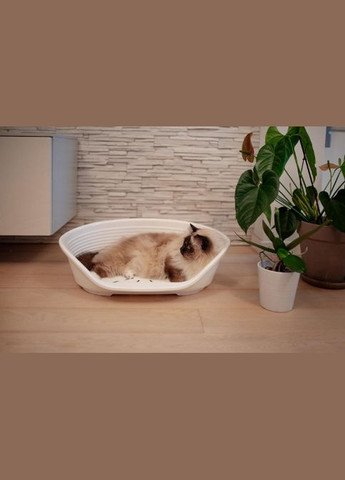 Пластиковий лежак для собак та котів Siesta Deluxe 2 білий 49х36х17.5 см 70202911 Ferplast (269341600)