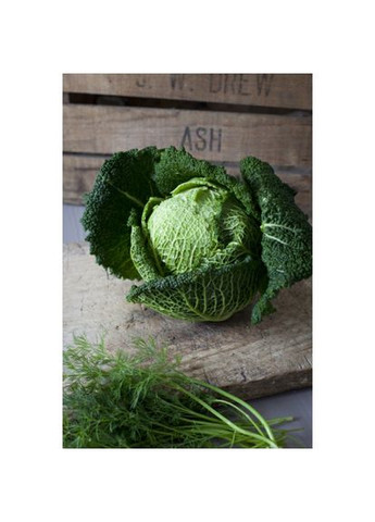 Объектив EF 50mm f/1.4 USM Canon (306919521)