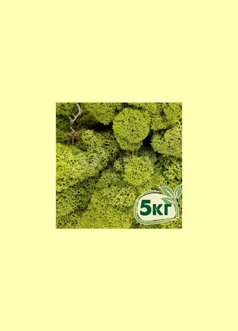 Стабілізований мох ягель Зелений світлий 5 кг Nordic moss (278652068)