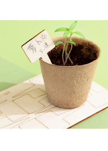 Дитячий комплект набір садівника домашня теплиця з насінням для вирощування рослин 32х32х28 см (482023-Prob) Зелений Unbranded (369719506)