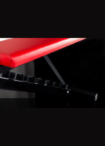 Скамья для жима регулируемая Pro-10 WCG (346531288)