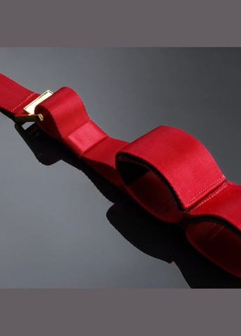 Набор для бондажа Bondage Fantasy с бантиками, красный UPKO (322287711)