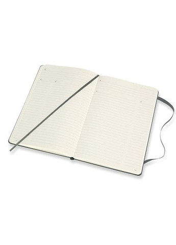 Записная книжка PRO средняя зеленая PROPFNTB3HK19 Moleskine (317302689)