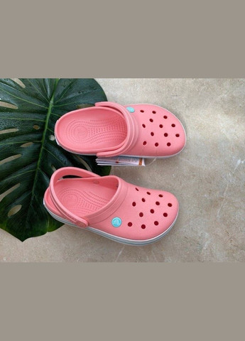 Светло-розовые крокс крокбенд клог clog Crocs
