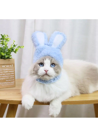 Шапка з вушками Bunny S Blue Xtep (319664373)