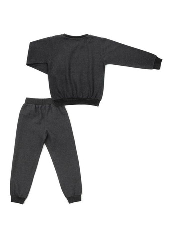 Спортивний костюм з емблемою (18239-116B-gray) Breeze (300856906)