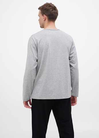 Светло-серая футболка-футболка u.s. polo assn мужская для мужчин U.S. Polo Assn.