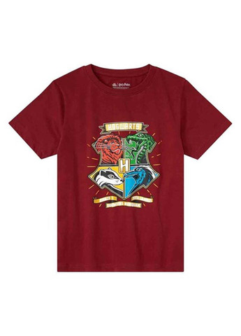 Комбінована демісезонна футболка 2шт Harry Potter