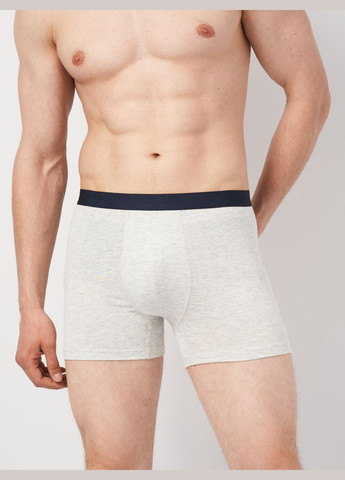 Труси (3шт) Basic Collection (295404432)