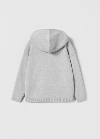 Светло-серый демисезонный свитер Zara