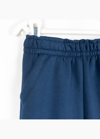 Детский теплый костюм Dexter`s на флисе blue dexter's (304547893)