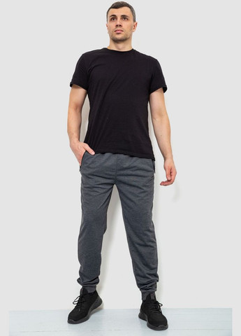 Темно-серые демисезонные брюки Ager