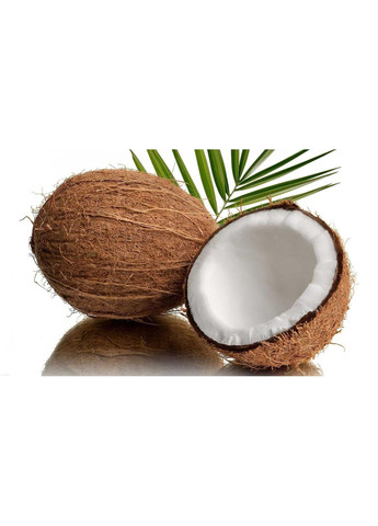 Кокосовый субстрат распушенный 1,5 л Насіння країни (299897772)