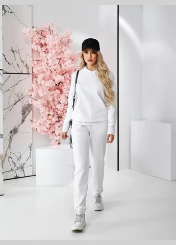 Стильный спортивный костюм No Brand (326804927)