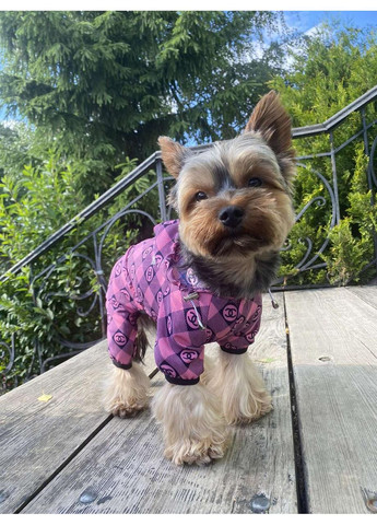 DOG STYLE • Летние комбинезоны для собак No Brand (358652246)