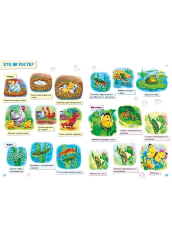 Малюкові про все на світі А1767002У дитяча ециклопедія РАНОК (361409676)