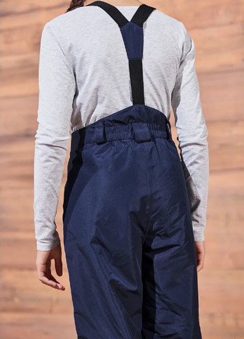 Лыжные брюки Crivit (372444364)