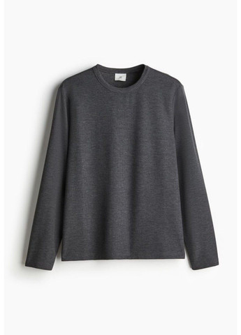 Темно-серый демисезонный мужской трикотажный лонгслив regular fit (57634) s темно-серый H&M