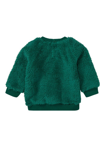 Зелений демісезонний костюм (світшот і штани) для хлопчика lidl 431226 зелений Lupilu