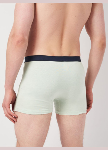 Трусы (3шт) Basic Collection (295079713)