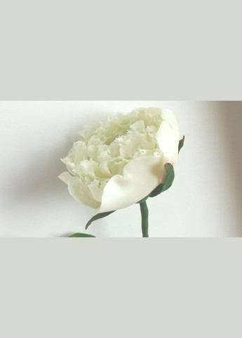 Бай Мудань - 50 г No Brand (305195992)