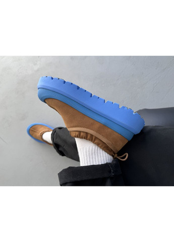 Блакитні Осінні кросівки чоловічі і жіночі UGG Tasman Hybrid Chestnut Blue | Угі Тасман Гібрид